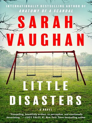 cover image of Little Disasters: a Novel
